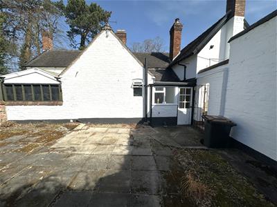 Picture 19